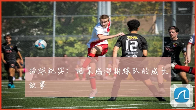 排球纪实：记录成都排球队的成长故事