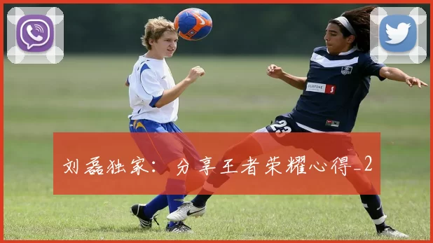 刘磊独家：分享王者荣耀心得_2