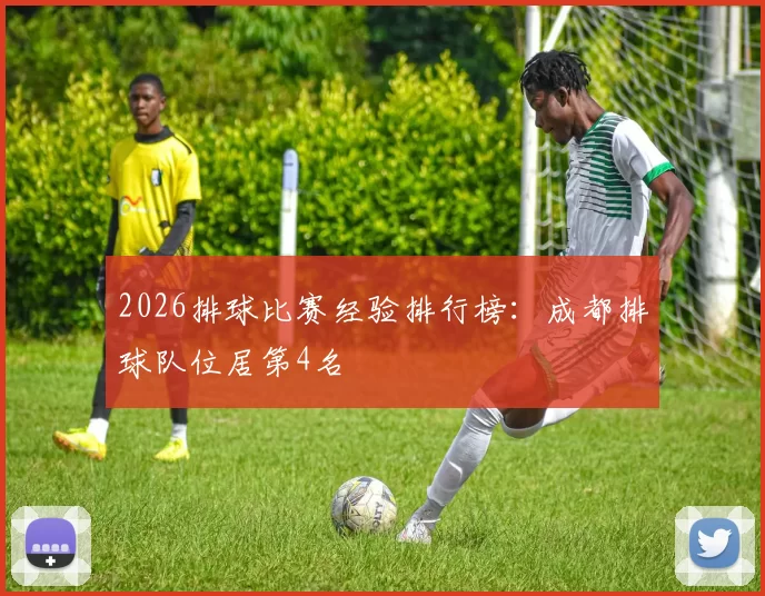 2026排球比赛经验排行榜：成都排球队位居第4名