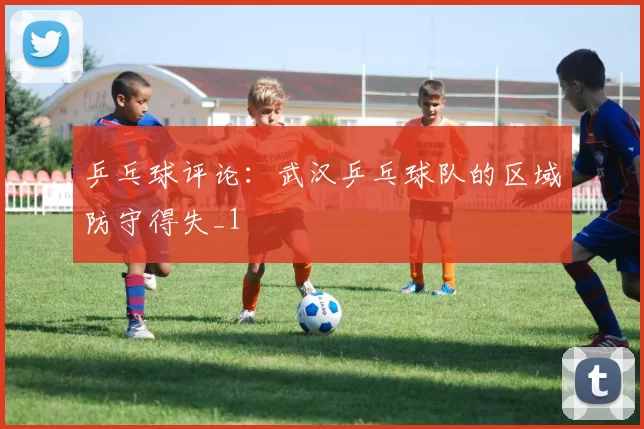 乒乓球评论：武汉乒乓球队的区域防守得失_1