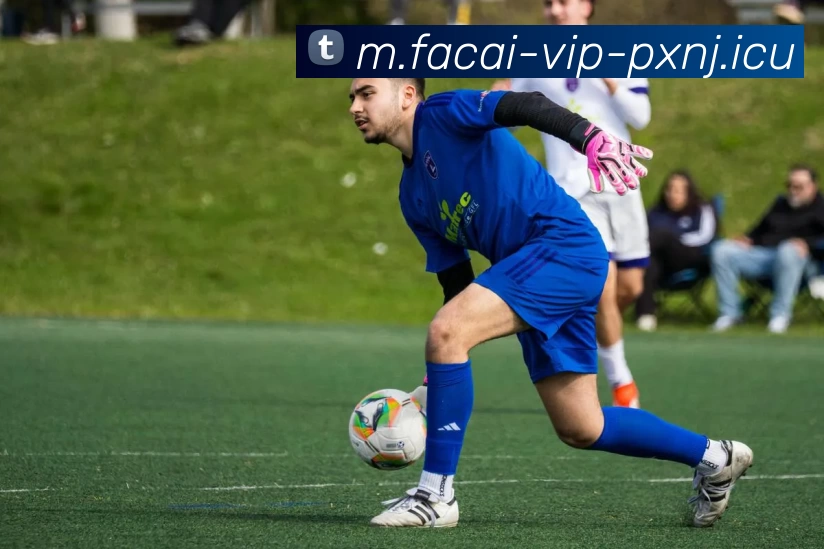 乐竞体育APP 高清赛事图